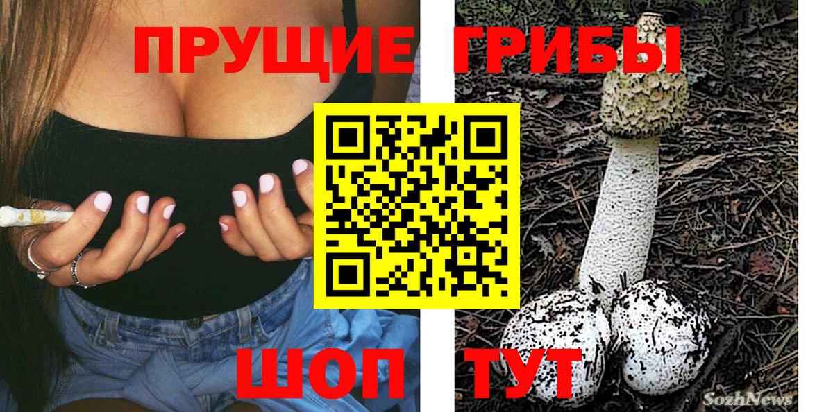 Новозыбков  Псилоцибиновые грибы мицелий  Вход с VPN  Галлюциногенные грибы MAGIC MUSHROOMS 